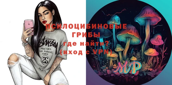 героин Алексин