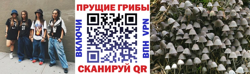 Псилоцибиновые грибы мицелий  Долинск 